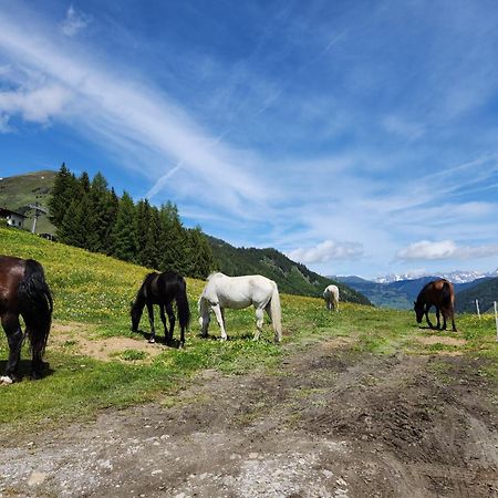 Lipphuette Top Lage Mit Traumhafter Aussicht 劳里斯 外观 照片