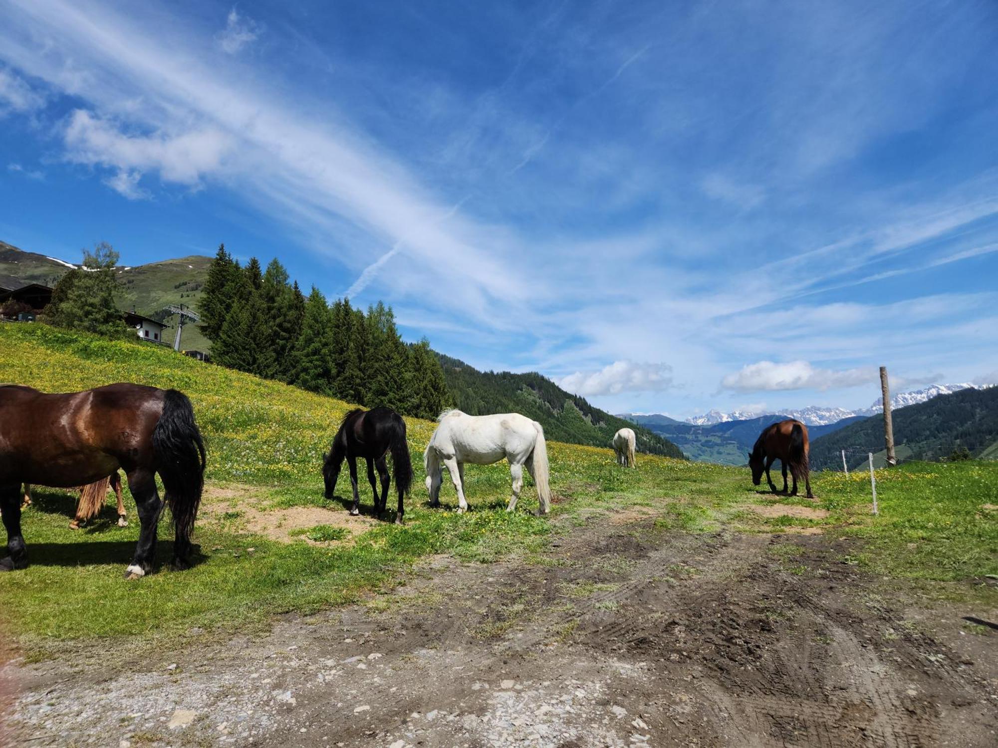 Lipphuette Top Lage Mit Traumhafter Aussicht 劳里斯 外观 照片